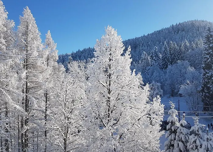 Osrodek Wypoczynkowy 