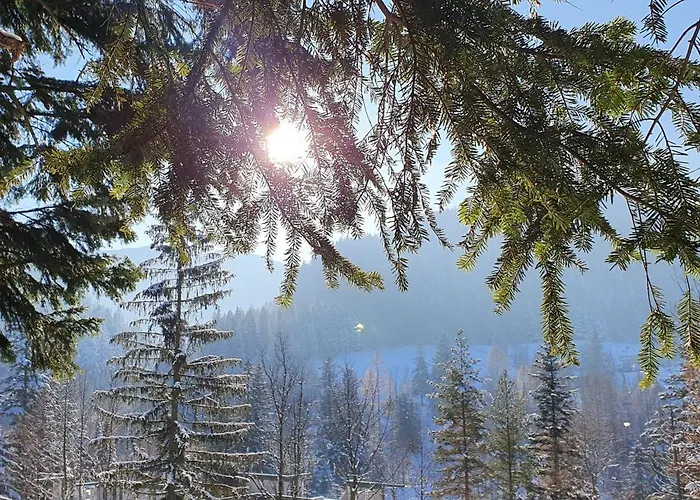 Osrodek Wypoczynkowy 