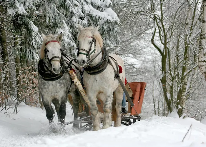 Osrodek Wypoczynkowy 